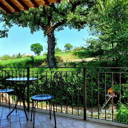 Residenze L'Alberata Guest House Collazzone Exterior foto